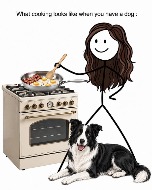 What cooking looks like when you have a dog: