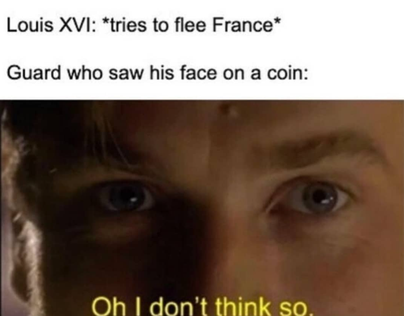 Louis XVI: *tries to flee France* Guard who saw his face on a coin: Oh I don't think so.