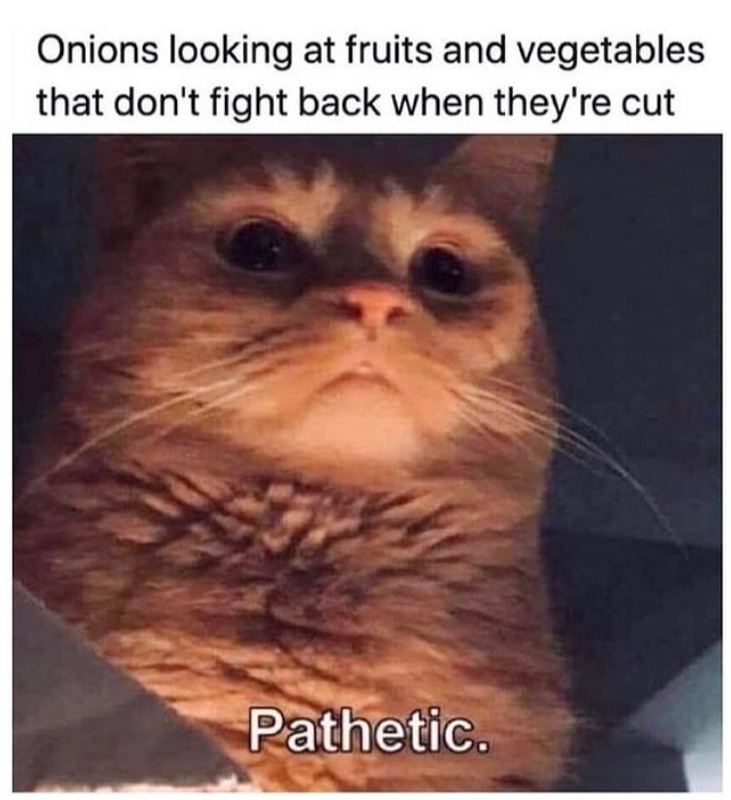 Onions looking at fruits and vegetables that don't fight back when they're cut Pathetic.