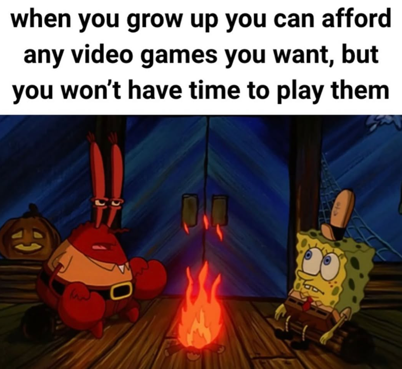 when you grow up you can afford any video games you want, but you won't have time to play them