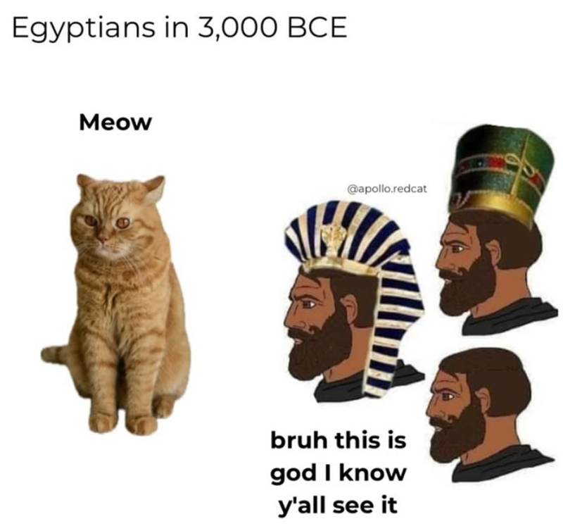 Egyptians in 3,000 BCE Meow @apollo.redcat bruh this is god I know y'all see it