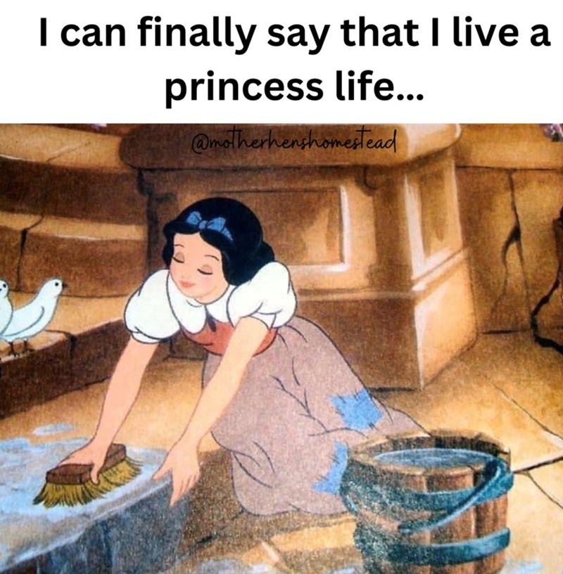 I can finally say that I live a princess life... @motherhenshomestead