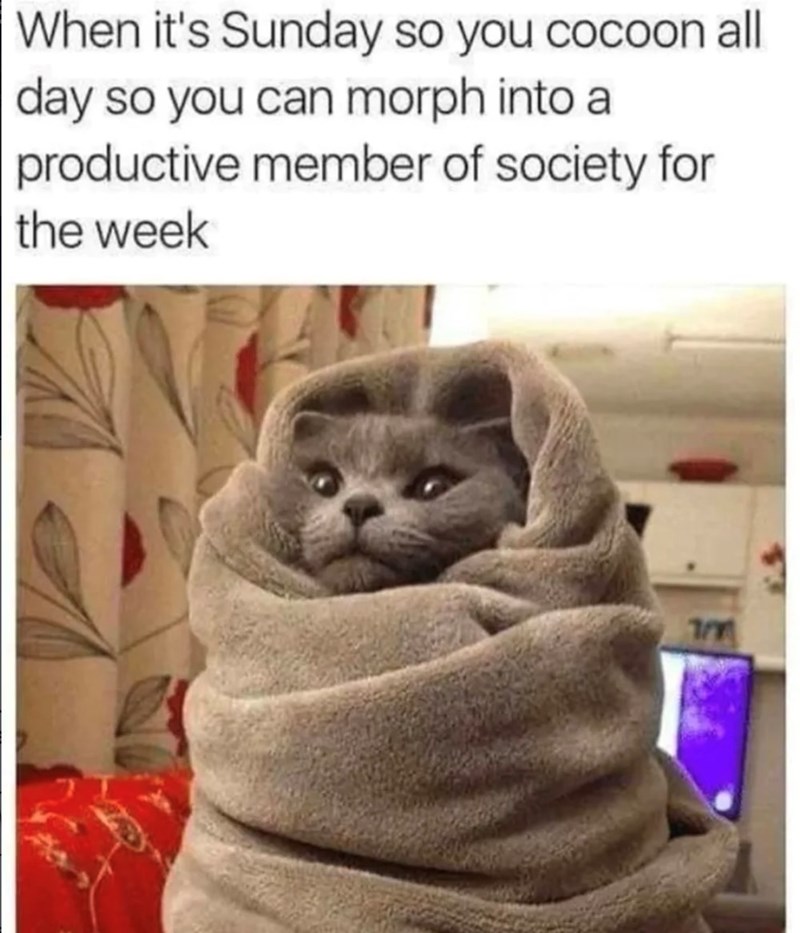 When it's Sunday so you cocoon all day so you can morph into a productive member of society for the week 7/