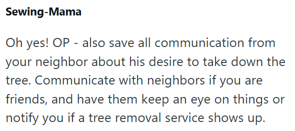 Sewing-Mama Oh yes! OP also save all communication from your neighbor about his desire to take down the tree. Communicate with neighbors if you are friends, and have them keep an eye on things or notify you if a tree removal service shows up.