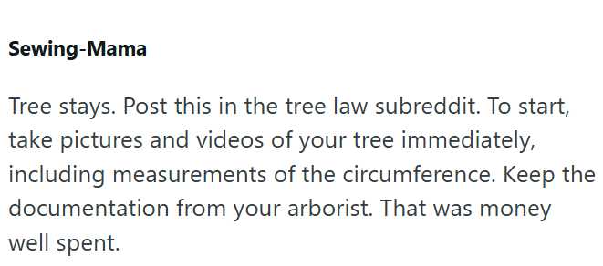 Sewing-Mama Tree stays. Post this in the tree law subreddit. To start, take pictures and videos of your tree immediately, including measurements of the circumference. Keep the documentation from your arborist. That was money well spent.