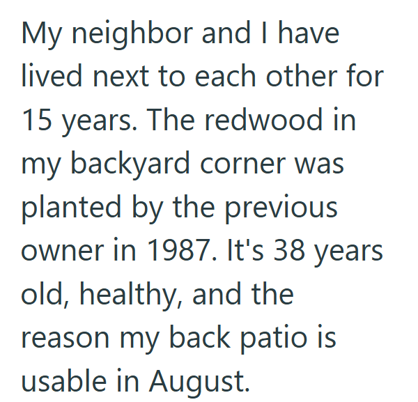 My neighbor and I have lived next to each other for 15 years. The redwood in my backyard corner was planted by the previous owner in 1987. It's 38 years old, healthy, and the reason my back patio is usable in August.