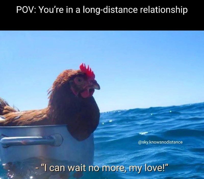 POV: You're in a long-distance relationship @sky.knowsnodistance - "I can wait no more, my love!"