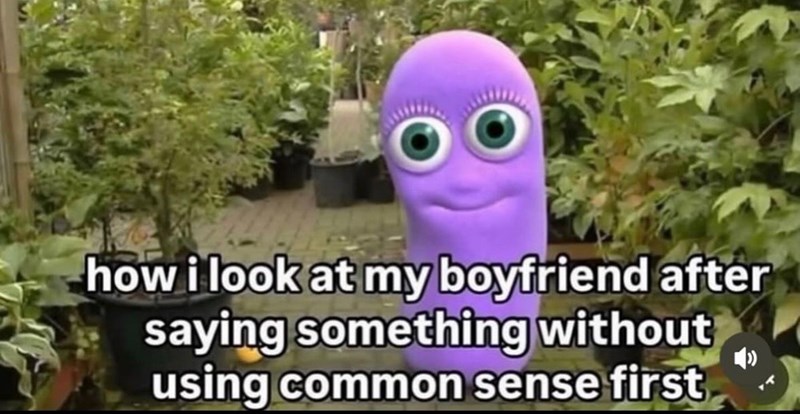 how i look at my boyfriend after saying something without using common sense first