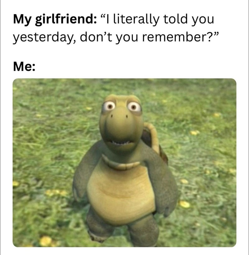 My girlfriend: "I literally told you yesterday, don't you remember?" Me: