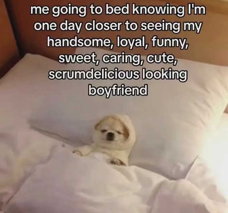 me going to bed knowing I'm one day closer to seeing my handsome, loyal, funny, sweet, caring, cute, scrumdelicious looking boyfriend