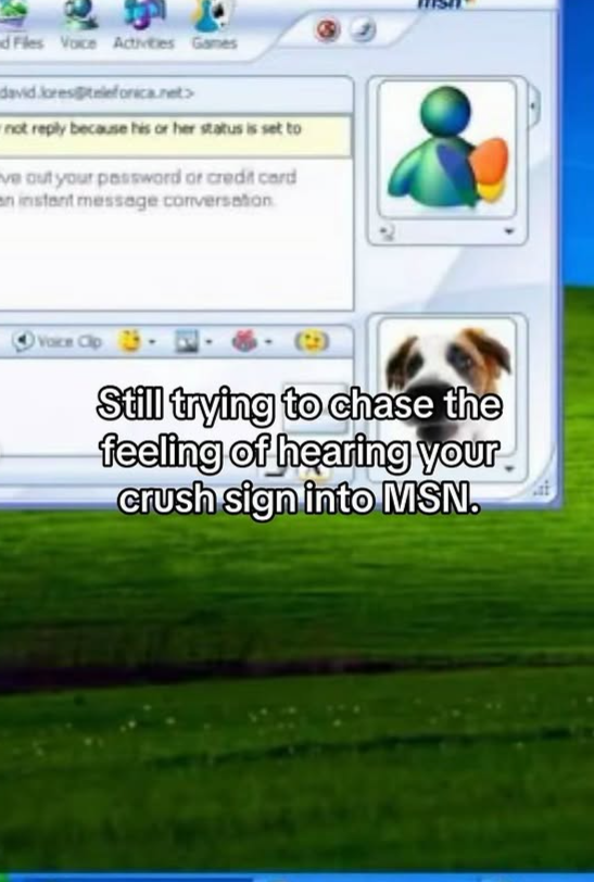d Files Voice Activities Games david.lores@telefonica.net> not reply because his or her status is set to ve out your password or credit card an instant message conversation Voice Cip Still trying to chase the feeling of hearing your crush sign into MSN.