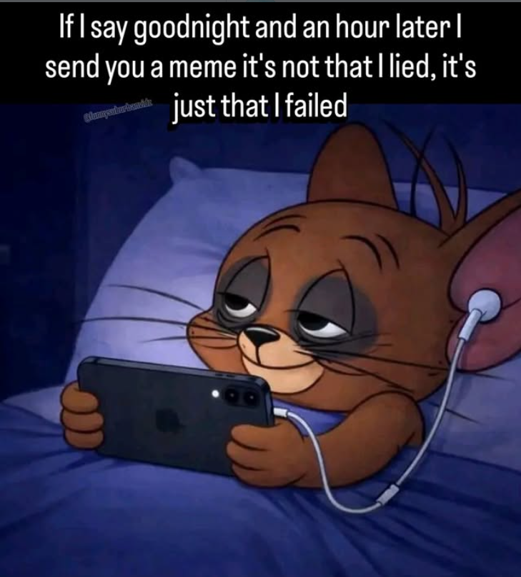 If I say goodnight and an hour later I send you a meme it's not that I lied, it's Bunnysuburbaniz just that I failed