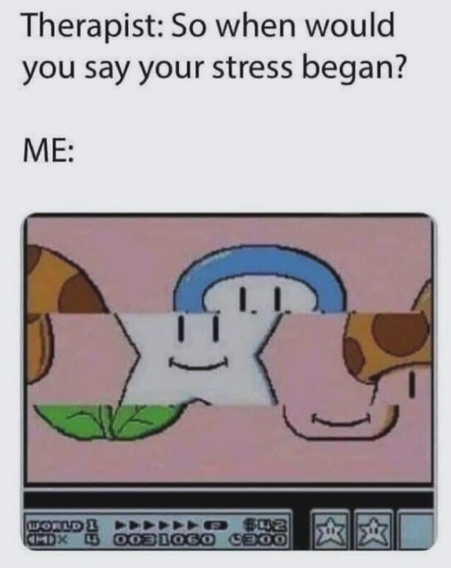 Therapist: So when would you say your stress began? ME: WORLD 1 品 Bh$ 444444 CMDX 5 O031060 C300