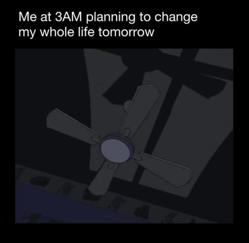 Me at 3AM planning to change my whole life tomorrow