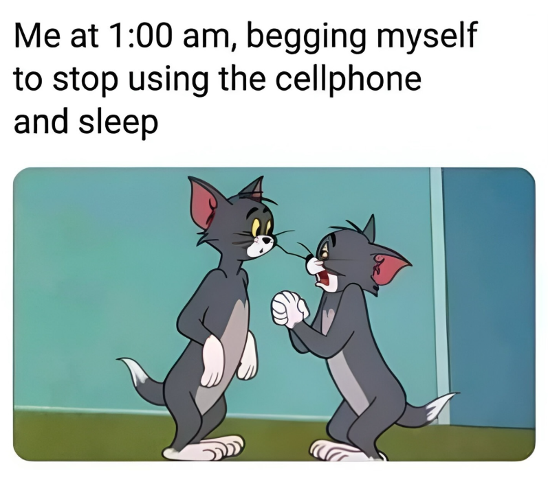 Me at 1:00 am, begging myself to stop using the cellphone and sleep