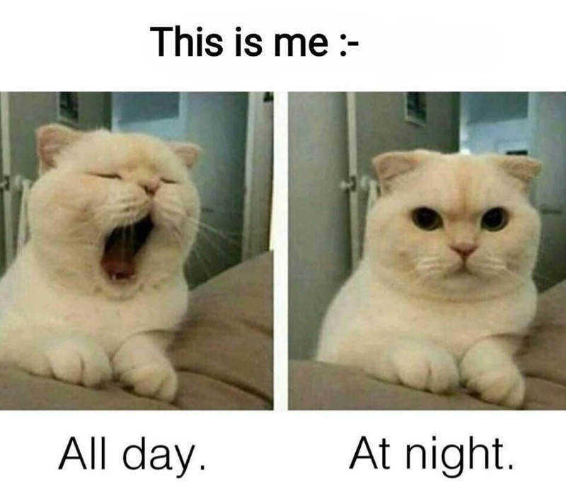 This is me :- All day. At night.