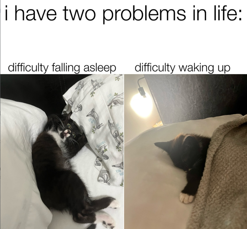 i have two problems in life: difficulty falling asleep difficulty waking up POSE