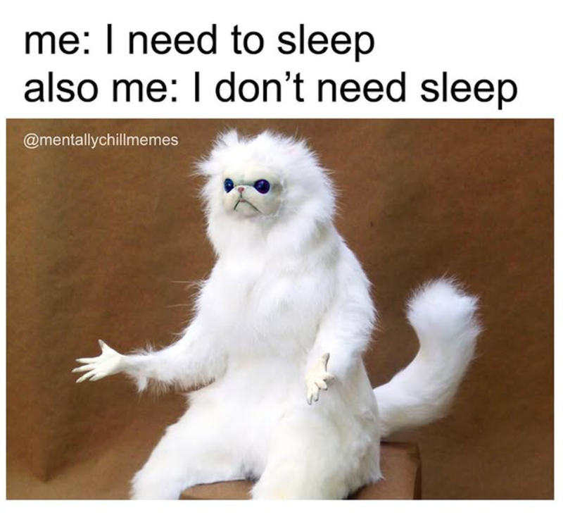 me: I need to sleep also me: I don't need sleep @mentallychillmemes
