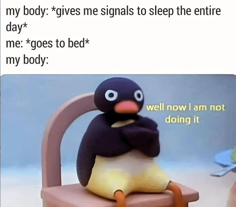 my body: *gives me signals to sleep the entire day* me: *goes to bed* my body: well now I am not doing it