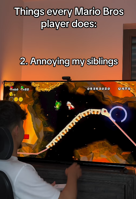 Things every Mario Bros player does: 2. Annoying my siblings 8x60 8x22 13 08383020 0576