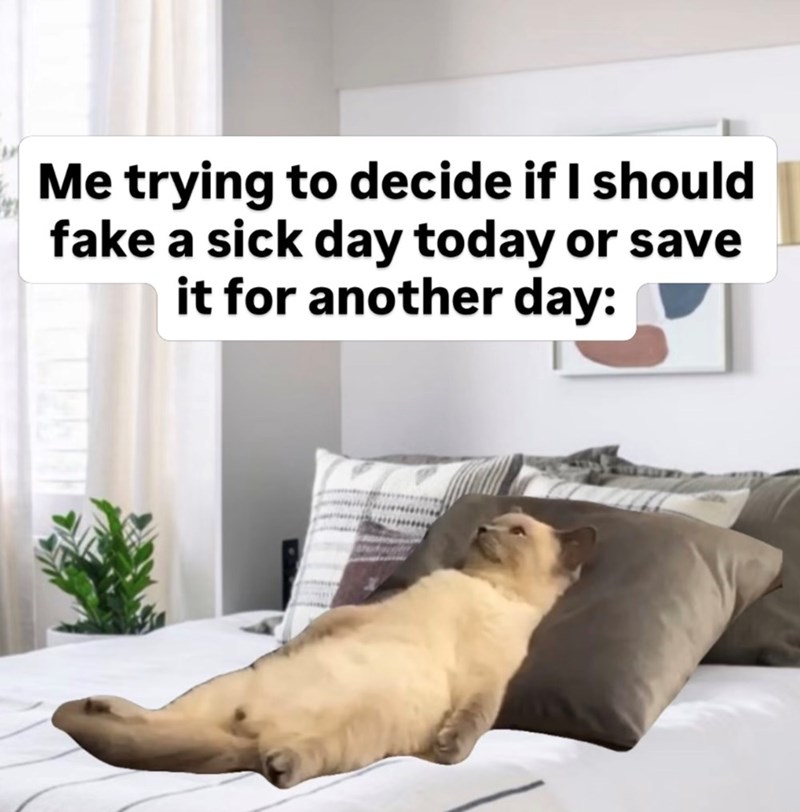 Me trying to decide if I should fake a sick day today or save it for another day: