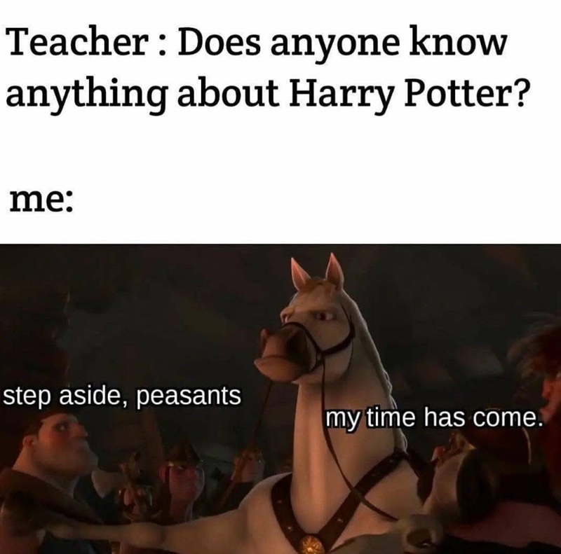 Teacher: Does anyone know anything about Harry Potter? me: step aside, peasants my time has come.