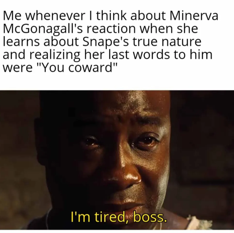 Me whenever I think about Minerva McGonagall's reaction when she learns about Snape's true nature and realizing her last words to him were "You coward" I'm tired, boss.