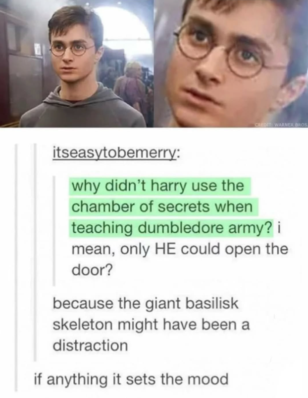 CREDIT: WARNER BROS itseasytobemerry: why didn't harry use the chamber of secrets when teaching dumbledore army? i mean, only HE could open the door? because the giant basilisk skeleton might have been a distraction if anything it sets the mood