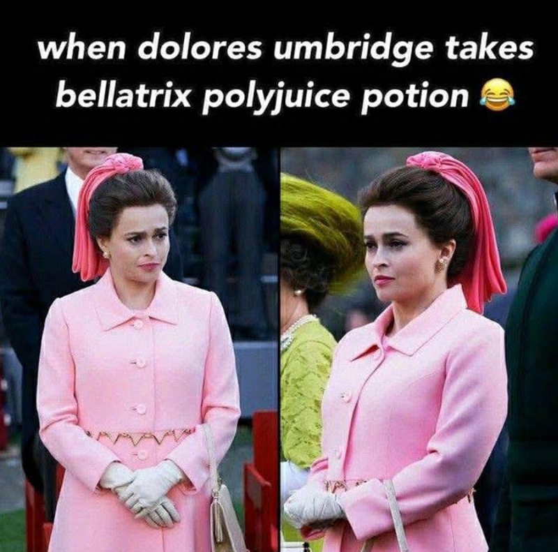 when dolores umbridge takes bellatrix polyjuice potion