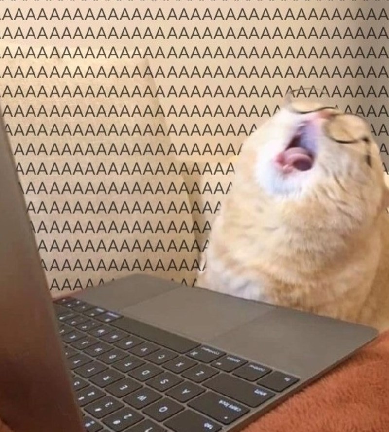 AAAAAAAAAAAAAAAAAAAAAAAAAAAAAAAAA AAAAAAAAAAAAAAAAAAAAAAAAAAAAAAAAA AAAAAAAAAAAAAAAAAAAAAAAAAAAAAAAAA AAAAAAAAAAAAAAAAAAAAAAAAAAAAAAAAA AAAAAAAAAAAAAAAAAAAAAAAAAAAAAAAAA AAAAAAAAAAAAAAAAAAAAAAAA AAAA AAAAAAAAAAAAAAAAAAAAAA AA AAAAAAAAAAAAAAAAAAA/ A AAAAAAAAAAAAAAAAAAA \AAAAAAAAAAAAAAAAAA AAAAAAAAAAAAAAAAA AAAAAAAAAAAAAAAA AAAAAAAAAAAAAAA AAAAAAAAAAAAAAA AAAAA AL