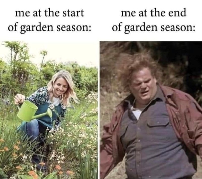 me at the start of garden season: me at the end of garden season: