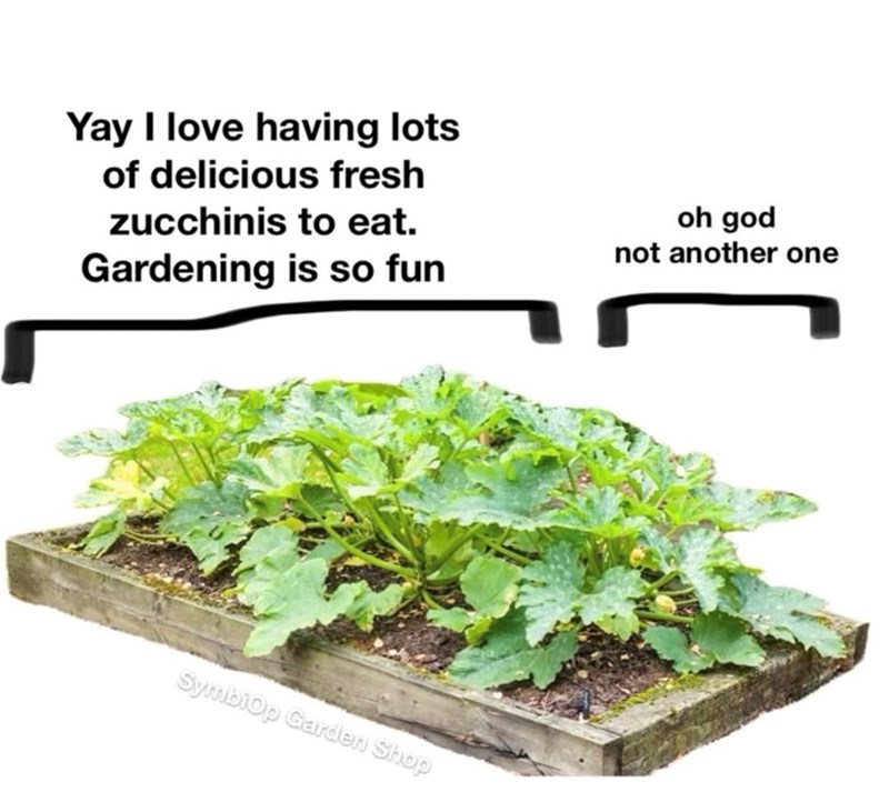 Yay I love having lots of delicious fresh zucchinis to eat. Gardening is so fun oh god not another one Symbiop Garden Shop