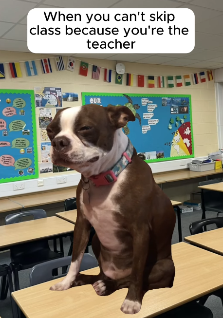 When you can't skip class because you're the teacher OUR country tion b