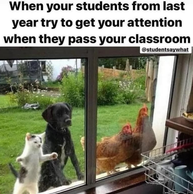 When your students from last year try to get your attention when they pass your classroom @studentsaywhat