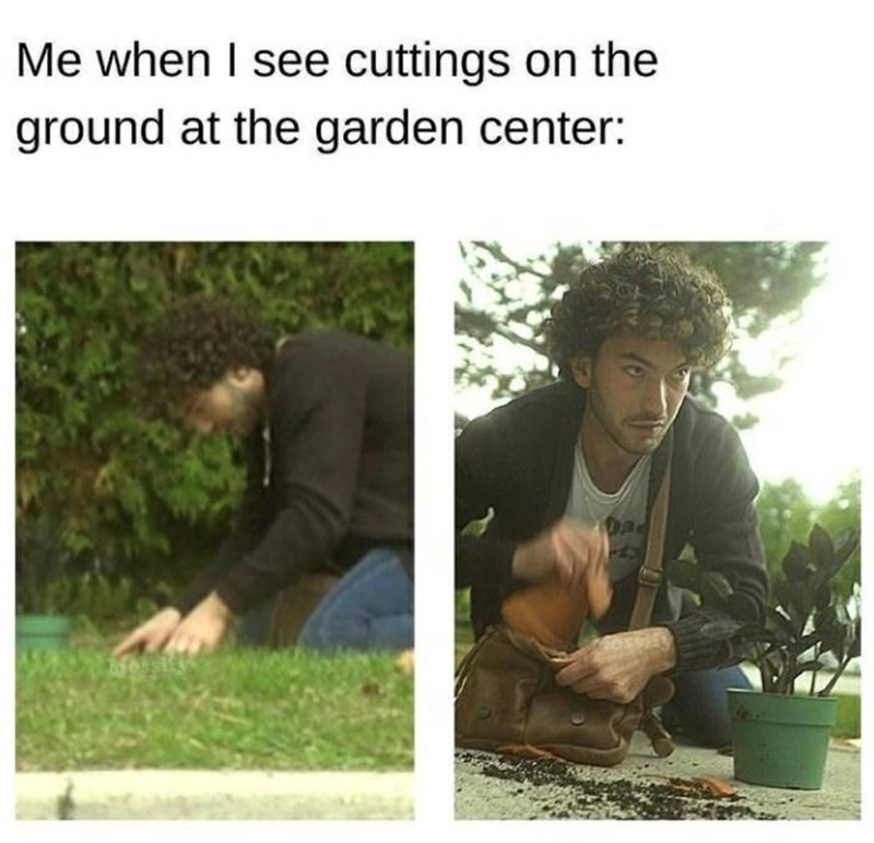 Me when I see cuttings on the ground at the garden center: Da