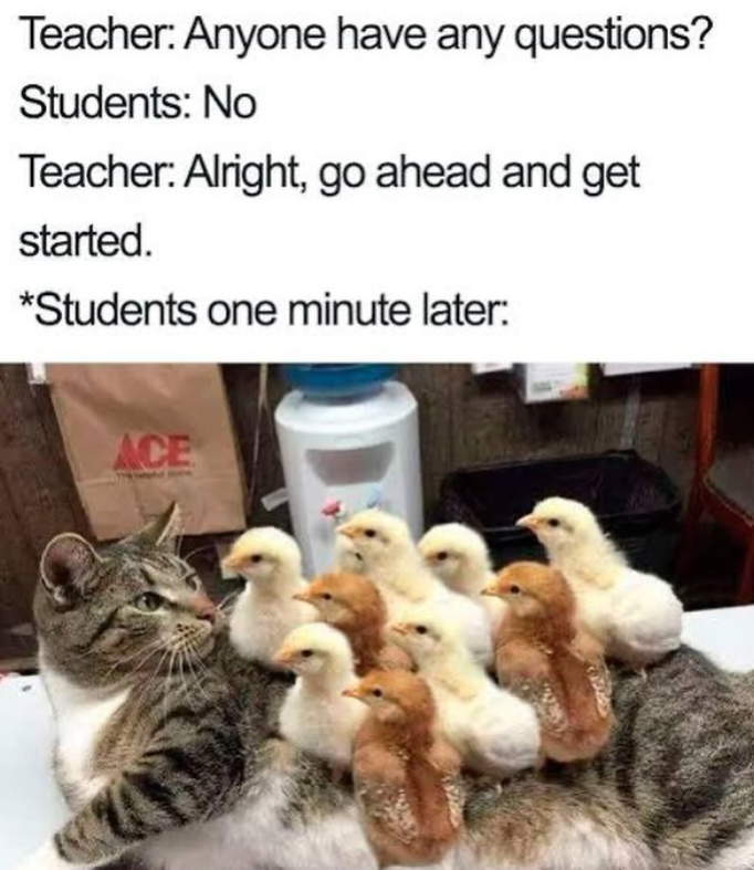 Teacher: Anyone have any questions? Students: No Teacher: Alright, go ahead and get started. *Students one minute later: ACE
