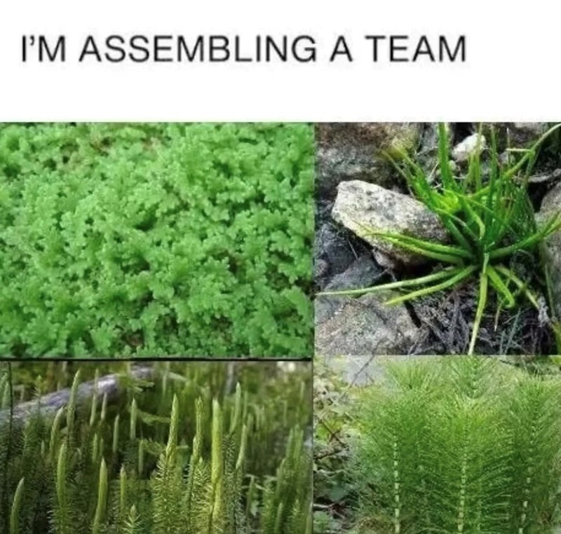 I'M ASSEMBLING A TEAM