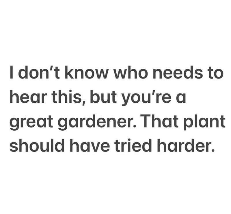 I don't know who needs to hear this, but you're a great gardener. That plant should have tried harder.