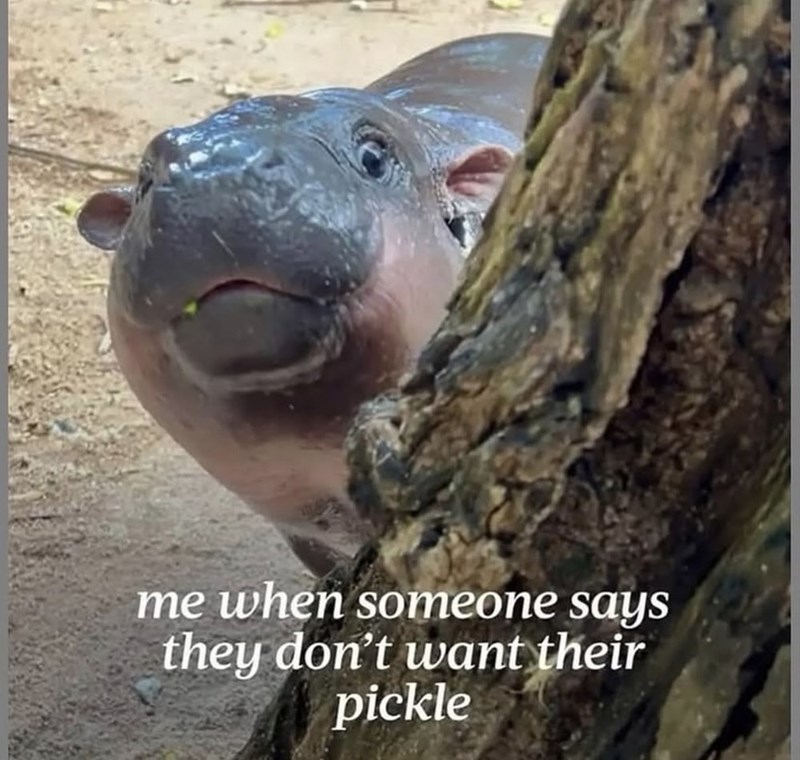 me when someone says they don't want their pickle