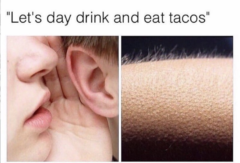 "Let's day drink and eat tacos"