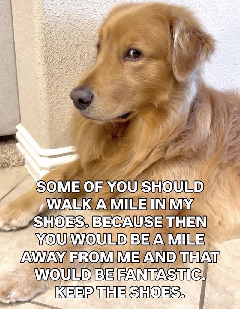 SOME OF YOU SHOULD WALK A MILE IN MY SHOES. BECAUSE THEN YOU WOULD BE A MILE AWAY FROM ME AND THAT WOULD BE FANTASTIC. KEEP THE SHOES.