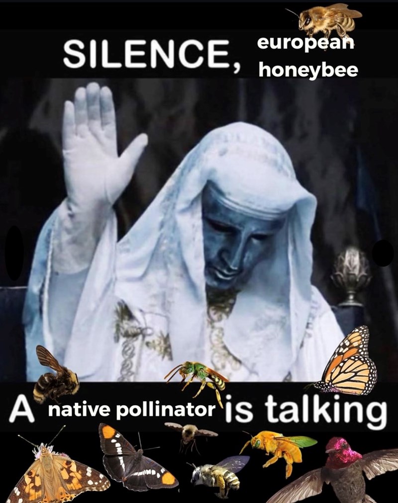 european SILENCE, honeybee A native pollinator is talking