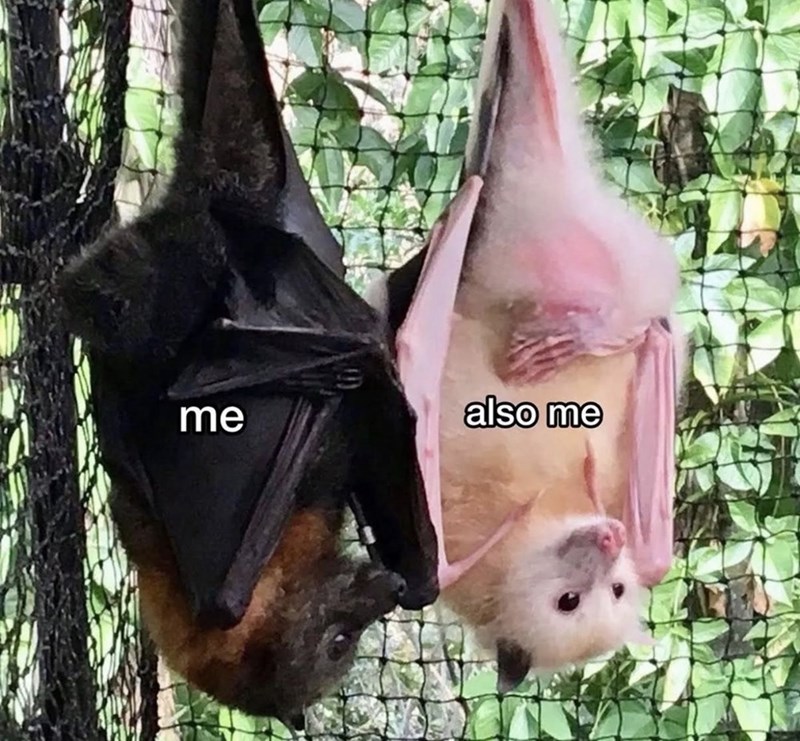 me also me