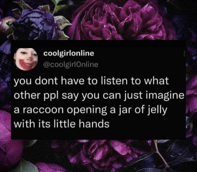 coolgirlonline @coolgirlOnline you dont have to listen to what other ppl say you can just imagine a raccoon opening a jar of jelly with its little hands