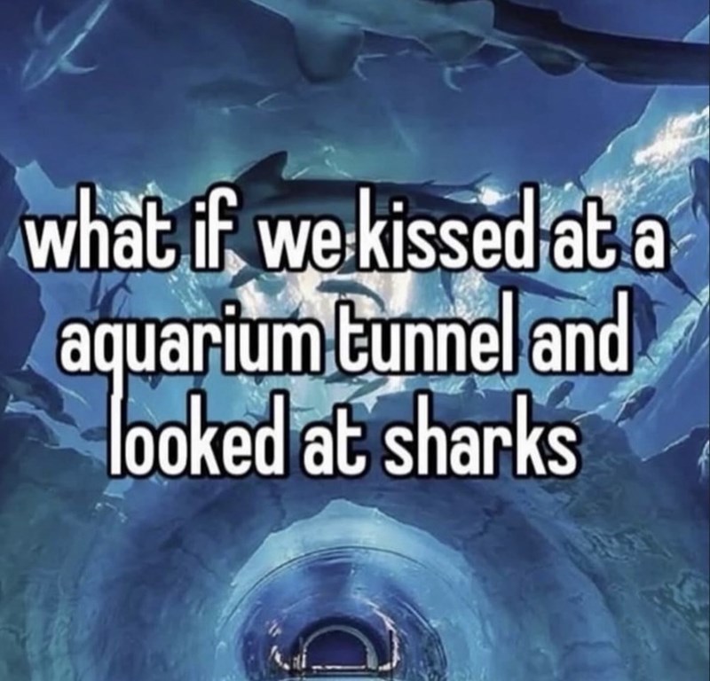 what if we kissed at a aquarium tunnel and looked at sharks