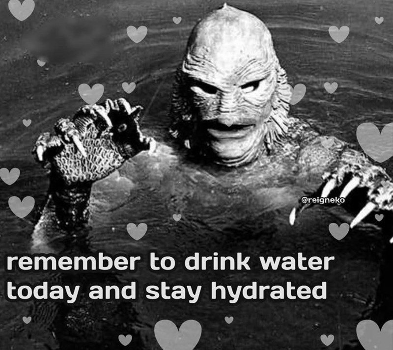 @reigneko remember to drink water today and stay hydrated