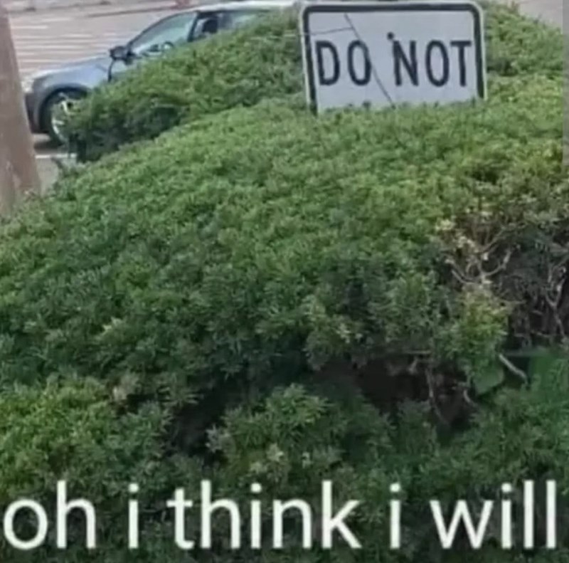DO NOT oh i think i will