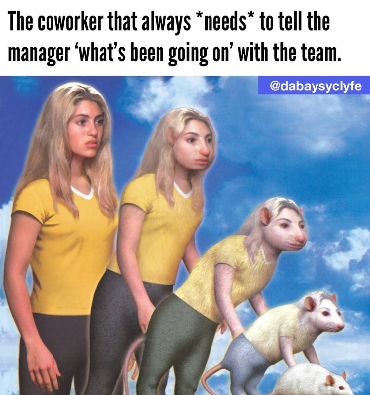 The coworker that always *needs* to tell the manager 'what's been going on' with the team. @dabaysyclyfe