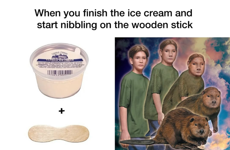 When you finish the ice cream and start nibbling on the wooden stick CEDAR CREST VANILLA ICE CREAM 96252 6 +