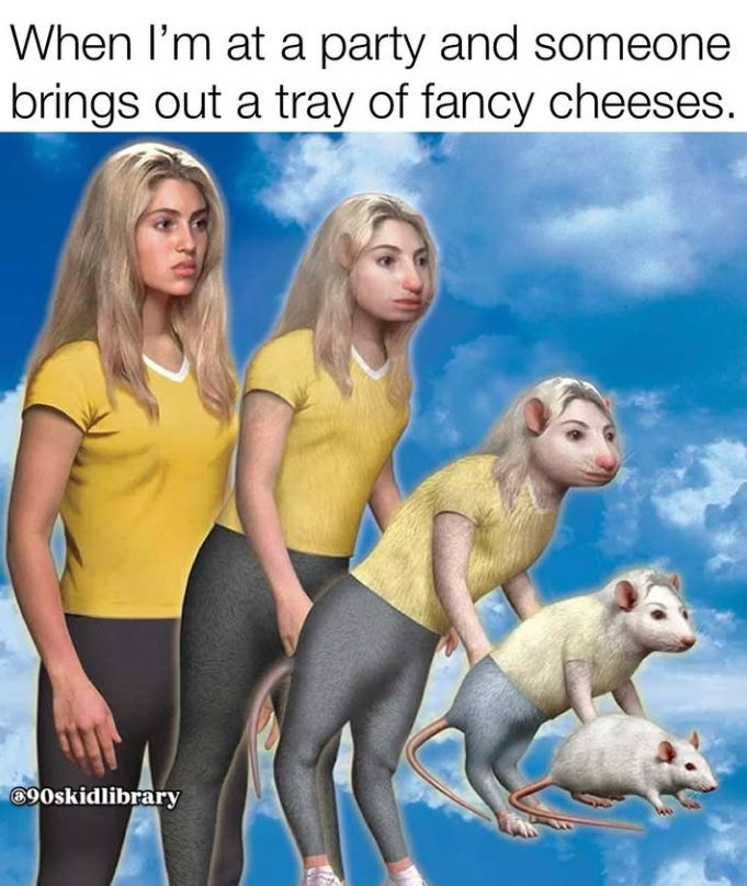 When I'm at a party and someone brings out a tray of fancy cheeses. 690skidlibrary